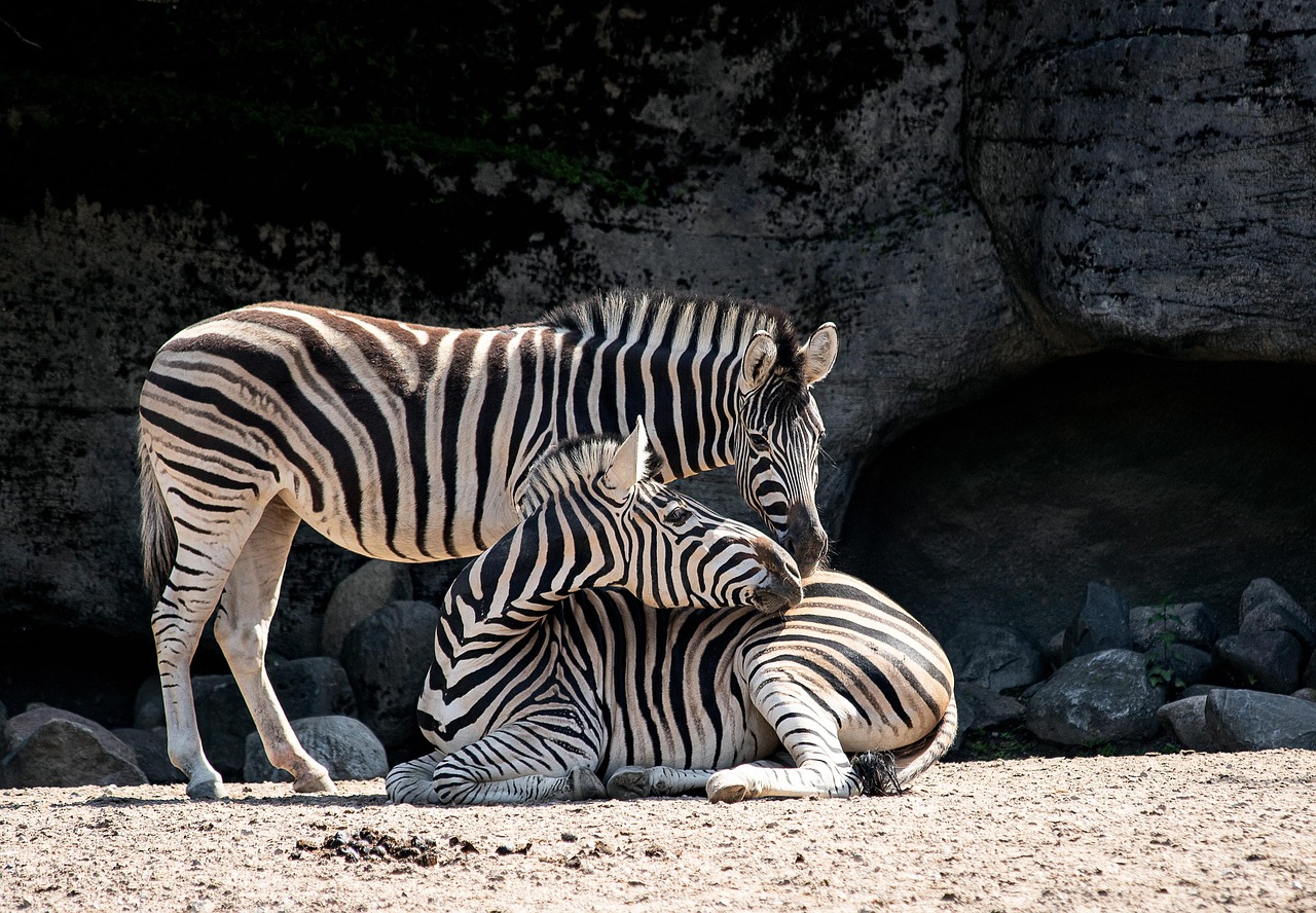 Adressen von Zoos in Hamburg